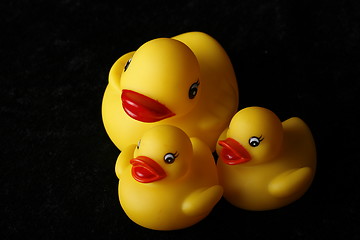 Image showing Happy duck family
