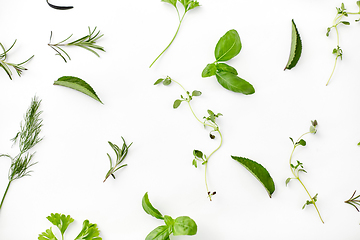 Image showing greens, spices or herbs on white background