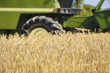 Image showing Grain Field with Combine Harvester at Work