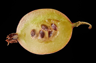 Image showing half of gooseberry macro