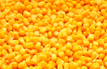 Image showing Corn