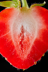 Image showing strawberry slice macro