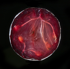 Image showing half of blackcurrant berry