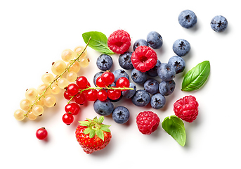 Image showing composition of fresh berries and green leaves