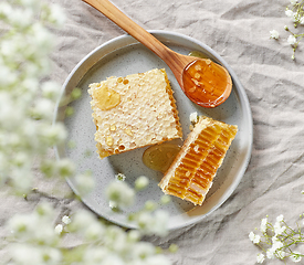 Image showing plate of fresh honey combs