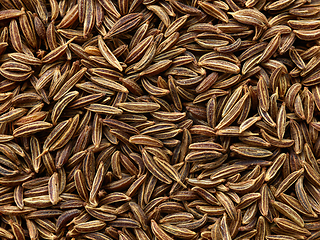 Image showing cumin seeds background macro