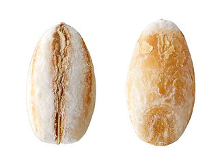 Image showing pearl barley macro