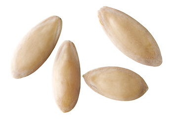 Image showing cucumber seeds macro