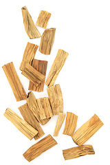 Image showing Reed Root Chinese Herb Plant Medicine