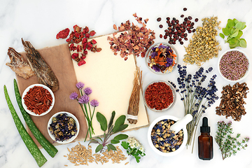 Image showing Natural Herb Preparation for Herbal Medicine