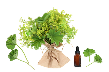 Image showing Ladies Mantle Natural Herbal Medicine 