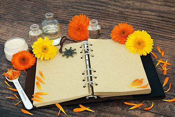 Image showing Calendula Flowers for Herbal Medicine Recipes