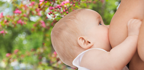 Image showing close up of mother breastfeeding her baby