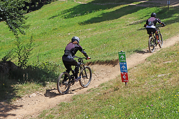 Image showing Couple cycling on mountain bike, rides mountain trail.