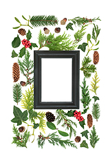 Image showing Abstract Christmas and Winter Frame with Greenery