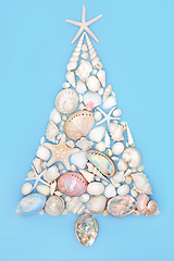 Image showing Abstract Christmas Tree Shape with Seashells