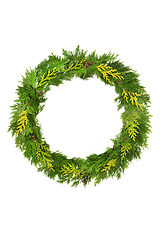 Image showing Cedar Cypress Leaf Evergreen Wreath