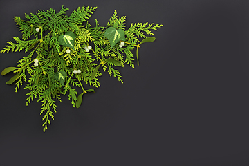 Image showing Cedar Cypress Mistletoe and Ivy Winter Composition