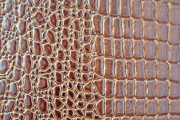 Image showing Crocodile texture