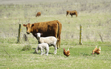 Image showing the farmyard