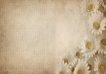 Image showing flower parchment