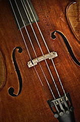 Image showing cello or violin