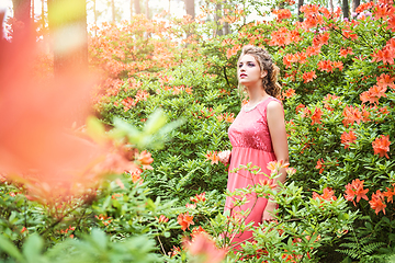 Image showing girl in dress in rhododendron garden