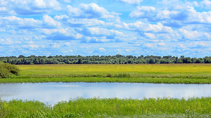 Image showing summer landscape with lake field and clouds