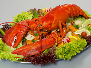 Image showing Lobster