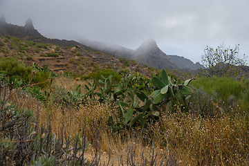 Image showing view on Teno Mountains