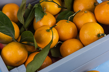 Image showing Fresh tangerines in box with leaves