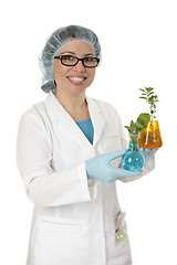 Image showing Scientist cultivating plants