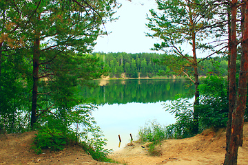 Image showing lake in the forest