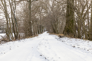 Image showing snowy road, winter