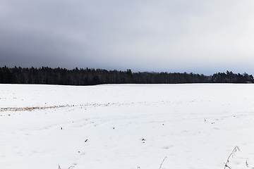 Image showing Snow drifts in winter