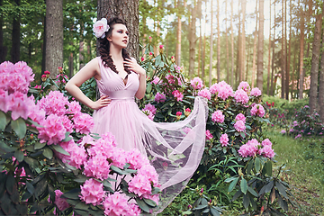 Image showing girl in dress in rhododendron garden