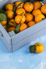 Image showing Fresh tangerines in box with leaves