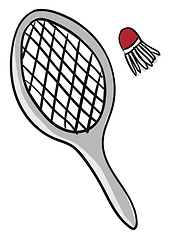 Image showing A badminton and a shuttlecock vector or color illustration