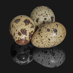 Image showing three quail eggs