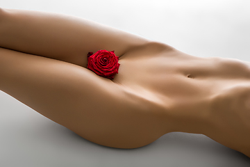 Image showing beautiful woman naked body with flower between legs 