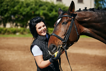 Image showing beautiful girl with horse