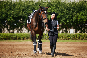 Image showing beautiful girl with horse