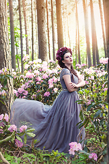 Image showing girl in dress in rhododendron garden