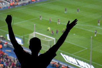 Image showing Cheering soccer fan