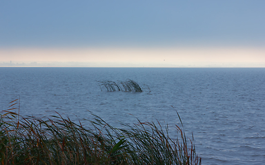 Image showing Dark Stormy Seascape with Sunlight on the Horizon