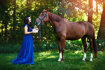 Image showing beautiful girl in dress with horse