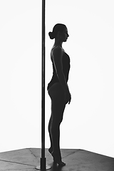 Image showing beautiful pole dancer girl silhouette