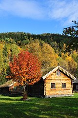 Image showing Old log cabin