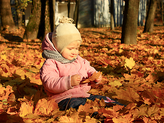 Image showing baby plays with Autumn leaves in the park