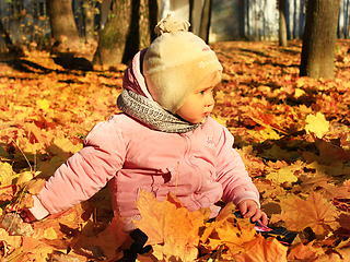 Image showing baby plays with Autumn leaves in the park